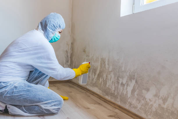 Mold Remediation specialist working in Fort Myers Beach
